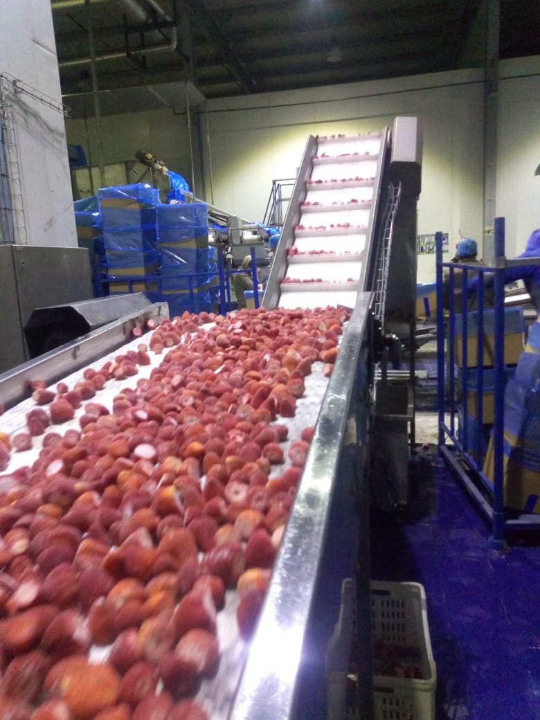 Aton Green Egypt Fresh Fruits & Vegetables